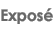 Expos&eacute;